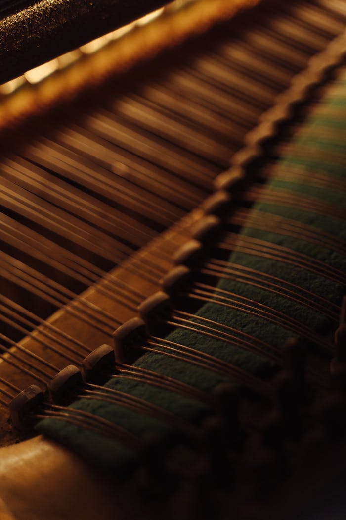 Macro photograph of piano strings with warm lighting, showcasing texture and detail.