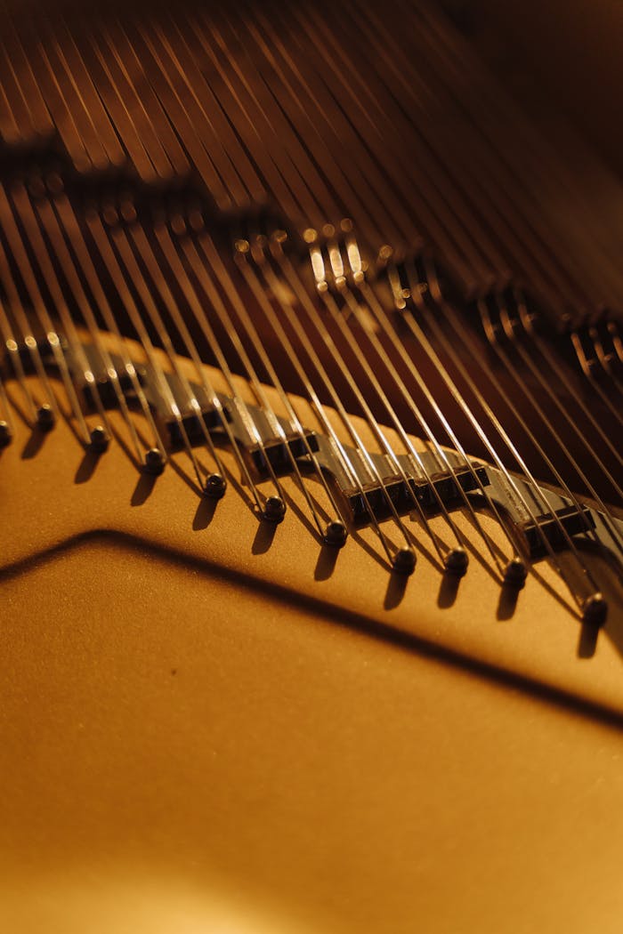 Detailed close-up of piano strings captured in warm lighting, showcasing intricate musical craftsmanship.